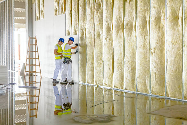 Best Blown-in Insulation in Boulder Hl, IL